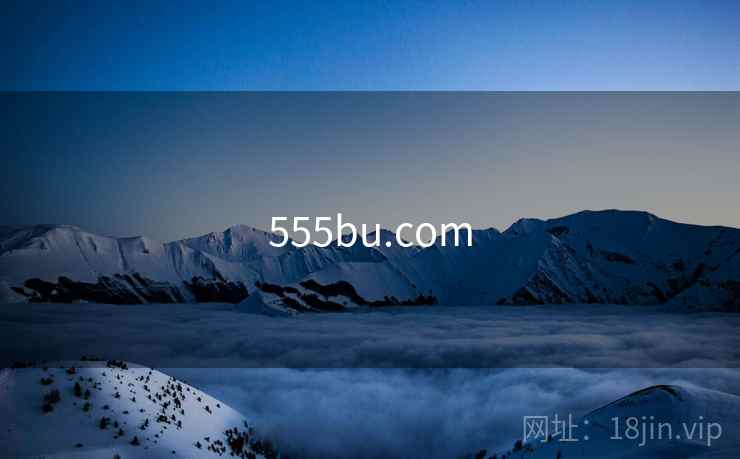 555bu.com